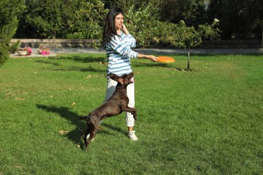 Kadın ve köpeği parkta uçan diskle oynuyorlar.