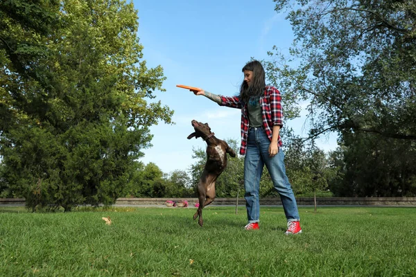 Mulher Seu Cão Brincando Com Disco Voador Parque — Fotografia de Stock