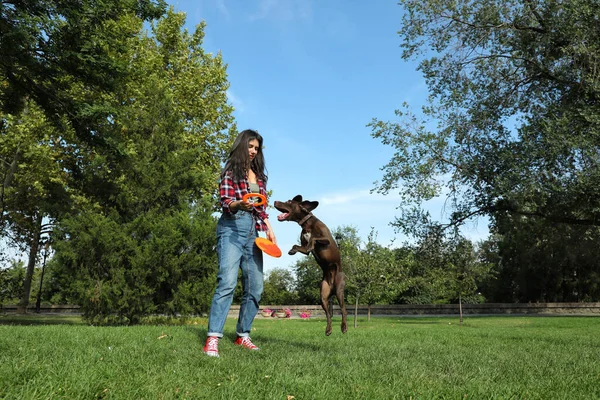 Frau Und Ihr Hund Spielen Mit Fliegender Scheibe Park — Stockfoto