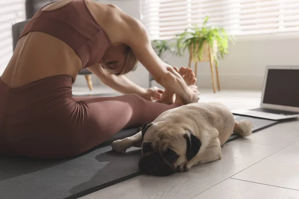 Vrouw Met Hond Volgt Online Yogales Thuis — Stockfoto