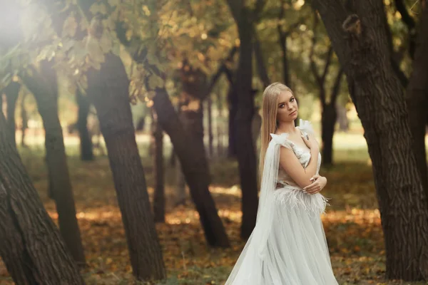 秋の森の中で妖精のドレスを着て美しい女の子 — ストック写真