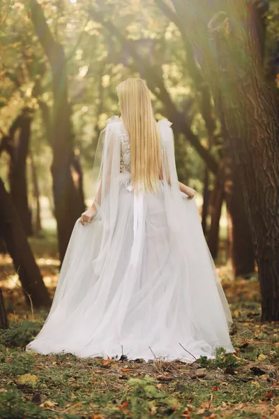 Piękna Dziewczyna Bajkowej Sukience Jesiennym Lesie Widok Tyłu — Zdjęcie stockowe