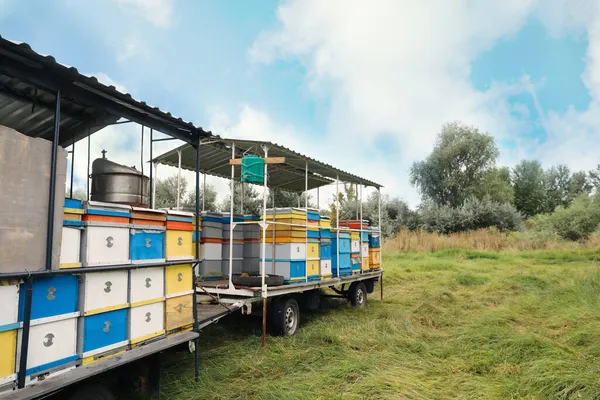 Багато Барвистих Бджолиних Вуликів Пасіці Відкритому Повітрі — стокове фото