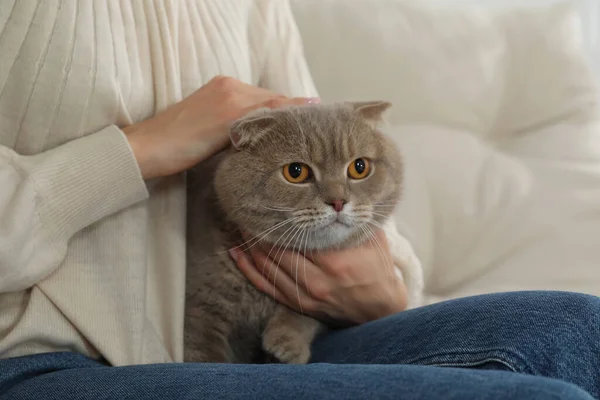 Frau Mit Ihrer Entzückenden Katze Auf Dem Sofa Nahaufnahme — Stockfoto