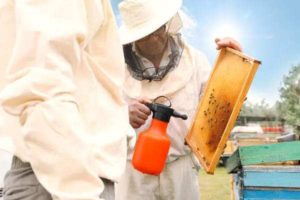 Bijenhouder Spuit Suikerwater Bijenkorf Frame Bij Bijenstal Oogsten Van Honing — Stockfoto