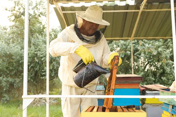 養蜂家心安らぐ蜂で蜂蜜フレーム上でスモークポットとともにApiary — ストック写真