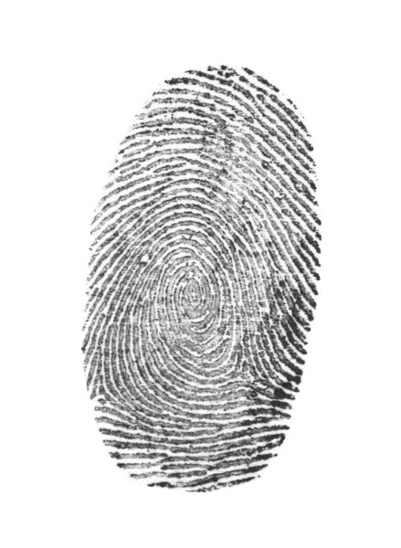 Black fingerprint made with ink on white background