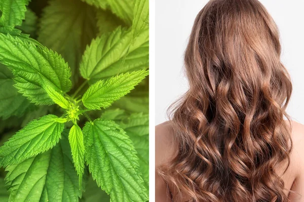 Naturlig Hårvård Bakåt Syn Ung Kvinna Och Gröna Brännässlor Collage — Stockfoto