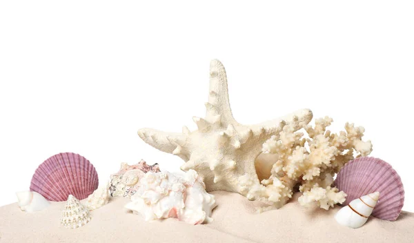 Prachtige Zeesterren Koraal Schelpen Het Zand Witte Achtergrond — Stockfoto