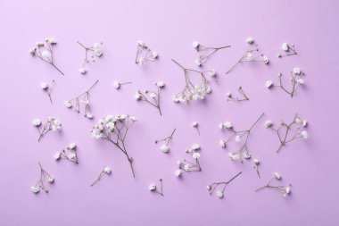 Menekşe arka planda güzel çigila çiçekleri, düz yatıyordu.