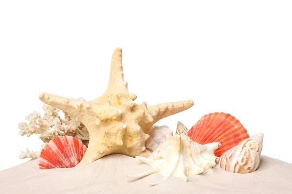 Prachtige Zeesterren Koraal Schelpen Het Zand Witte Achtergrond — Stockfoto