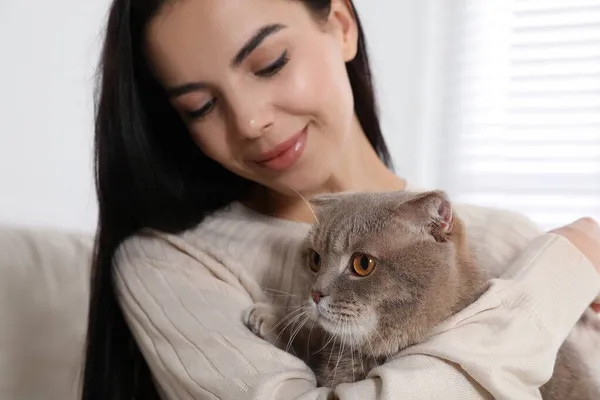 귀여운 고양이와 — 스톡 사진