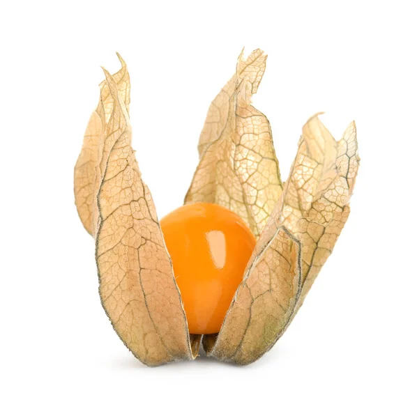 Fruit Physalis Mûr Avec Écorce Sèche Sur Fond Blanc — Photo