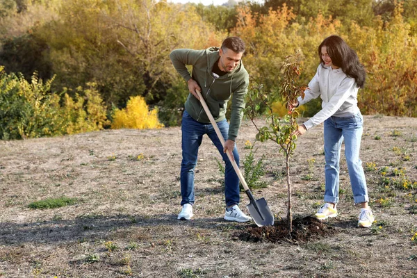 Pessoas Plantando Árvore Jovem Parque Dia Ensolarado Espaço Para Texto — Fotografia de Stock