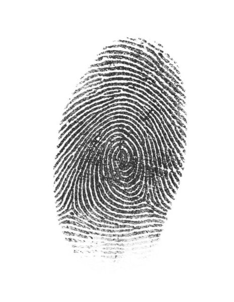 Black fingerprint made with ink on white background