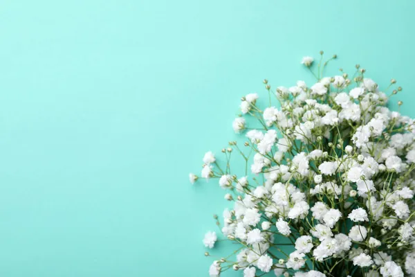 Beautiful Gypsophila Flowers Turquoise Background Top View Space Text — Stock Photo, Image