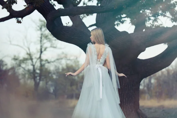 Beautiful Girl Wearing Fairy Dress Tall Tree Outdoors — Stock Photo, Image