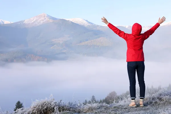 Γυναίκα Θαυμάζει Ορεινό Τοπίο Πίσω Όψη Έννοια Ελευθερίας — Φωτογραφία Αρχείου