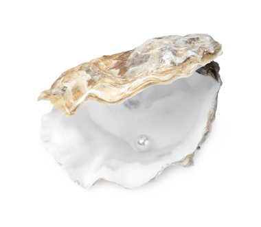 istiridye inci izole üzerinde beyaz ile açın