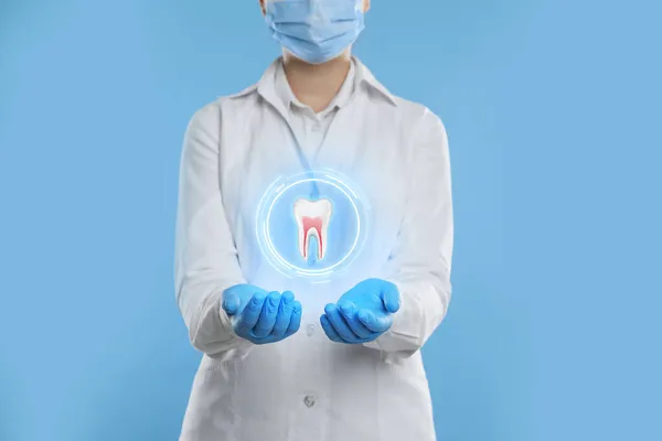 Dentysta Pokazuje Wirtualny Model Zęba Jasnoniebieskim Tle Zbliżenie — Zdjęcie stockowe