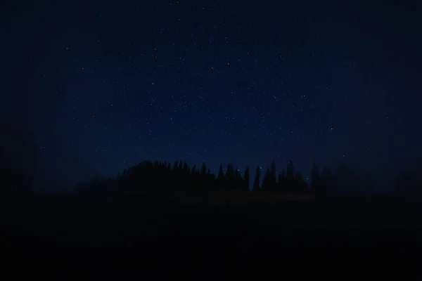 Geceleri Yıldızlı Gökyüzünün Altındaki Karanlık Ormanın Güzel Manzarası — Stok fotoğraf