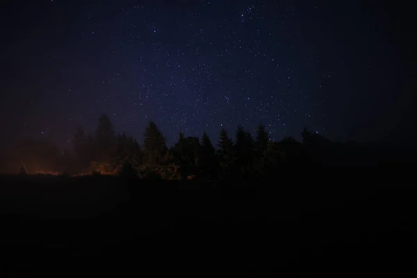 Gyönyörű Kilátás Sötét Erdő Alatt Csillagos Éjjel — Stock Fotó