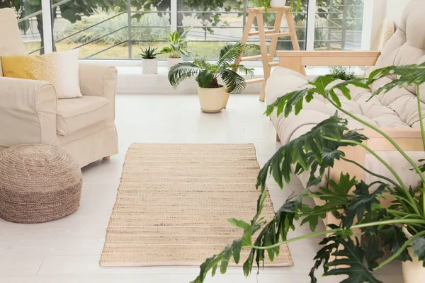 Elegante Soggiorno Interno Con Tappeto Beige Mobili Confortevoli Piante — Foto Stock