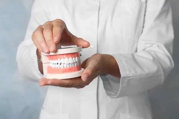 Dentista Segurando Dentes Tipodonte Fundo Azul Claro Close — Fotografia de Stock