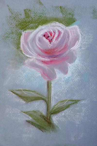 Pastel Drawing Pink Rose Light Background — Stock Photo, Image