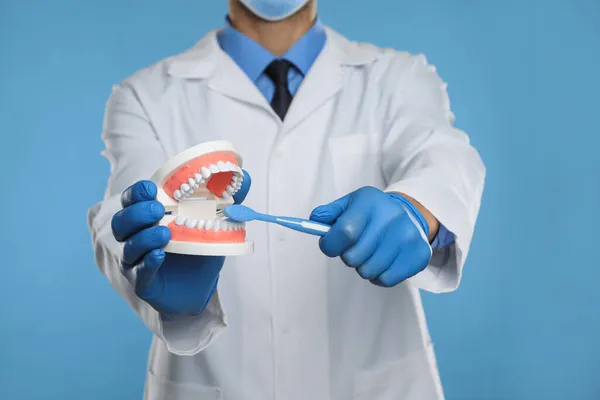 Dentist Jaws Model Toothbrush Light Blue Background Closeup Oral Care — Stock Photo, Image