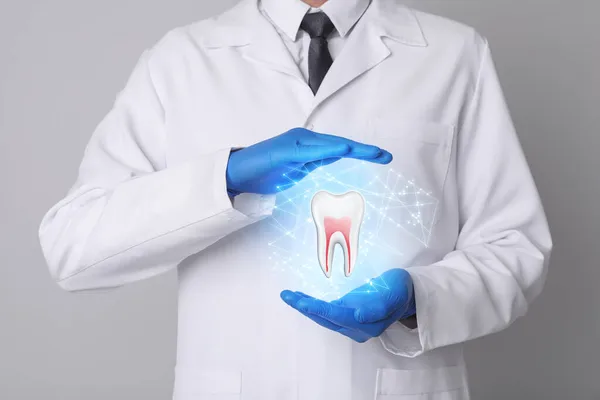 Dentysta Pokazuje Wirtualny Model Zęba Jasnoszarym Tle Zbliżenie — Zdjęcie stockowe