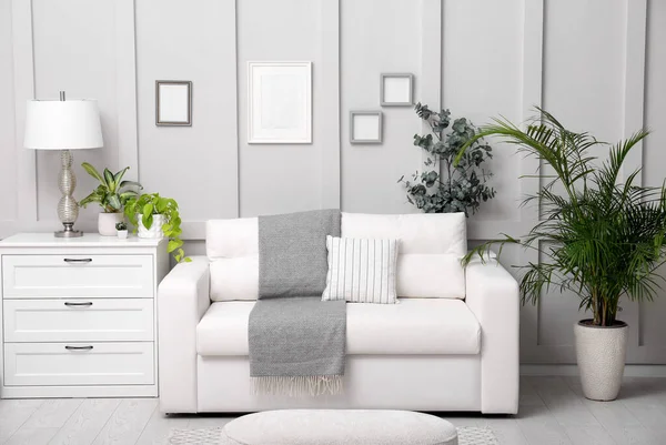 Salón Interior Con Muebles Blancos Elegantes Accesorios Plantas Interior —  Fotos de Stock