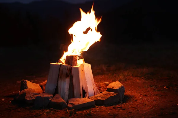 Piękne Ognisko Płonącym Drewnem Zewnątrz Nocy — Zdjęcie stockowe
