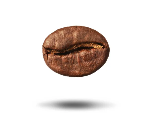 白を基調としたブラウンローストコーヒー豆 — ストック写真