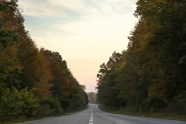 Krásný Výhled Asfaltovou Cestu Podzimní Les — Stock fotografie