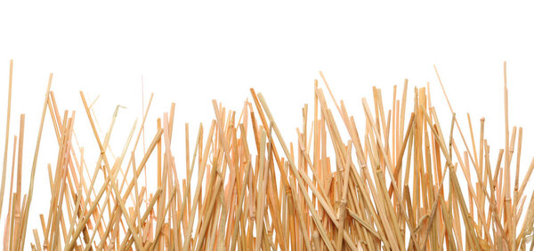 Dried hay on white background, top view