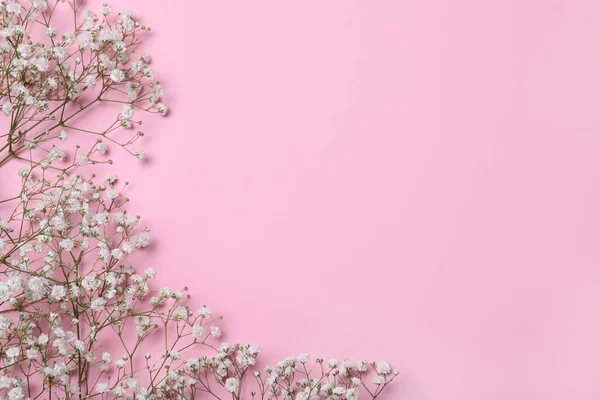 Piękne Cygańskie Kwiaty Różowym Tle Płaskie Leżały Miejsce Tekst — Zdjęcie stockowe