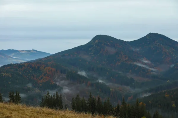 Pintoresca Vista Del Hermoso Paisaje Montaña Con Parches Bosque Niebla — Foto de Stock
