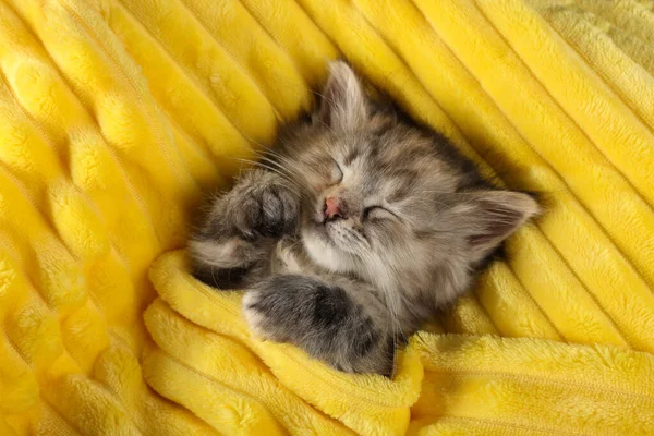 Niedliches Kätzchen Schläft Weicher Gelber Decke Draufsicht — Stockfoto