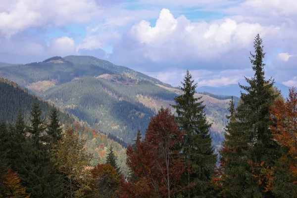 가을에 내려다 보이는 산들의 — 스톡 사진