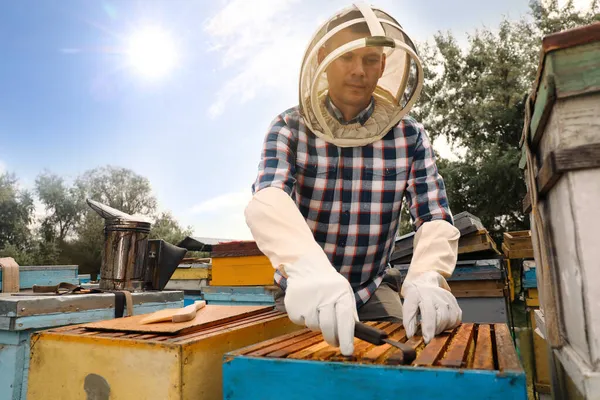 養蜂家は養蜂場から額を取っている 蜂蜜の収穫 — ストック写真