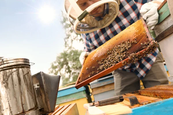 養蜂家は養蜂場の枠で飼育されています 蜂蜜の収穫 — ストック写真