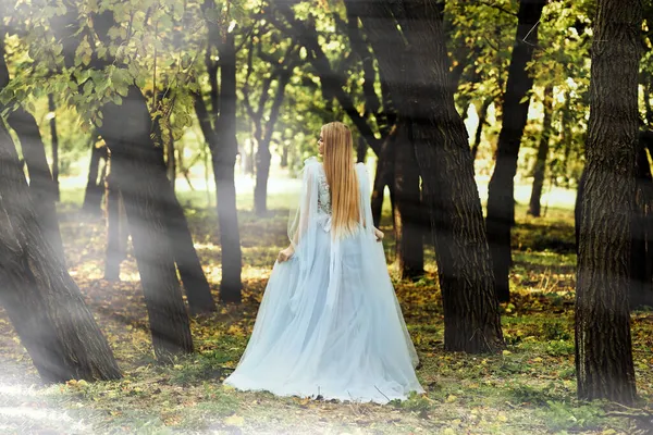 Menina Bonita Vestindo Vestido Fada Floresta Outono Visão Traseira — Fotografia de Stock