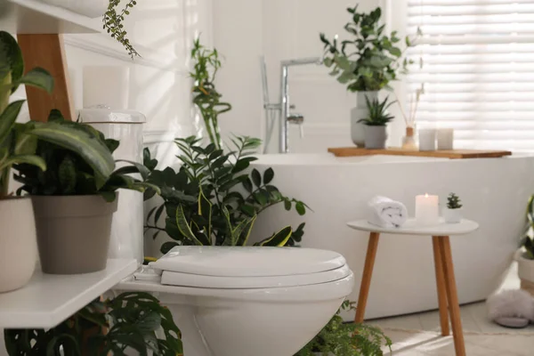 Snygg Vit Badrum Interiör Med Toalett Skål Och Gröna Krukväxter — Stockfoto