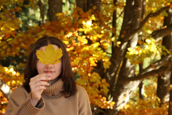 Egy Aki Őszi Levelet Tart Arcához Erdőben Szöveg Helye — Stock Fotó