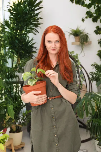 Hermosa Mujer Con Planta Interior Verde Casa —  Fotos de Stock