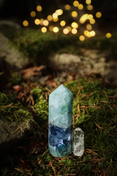 Beautiful Crystals Moss Blurred Lights — Stock Photo, Image