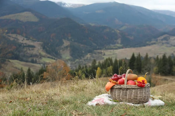 Cesta Picnic Mimbre Con Frutas Hojas Otoño Cuadros Las Montañas — Foto de Stock