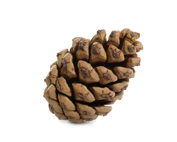 Beautiful Dry Pine Cone Isolated White — Stock Photo, Image