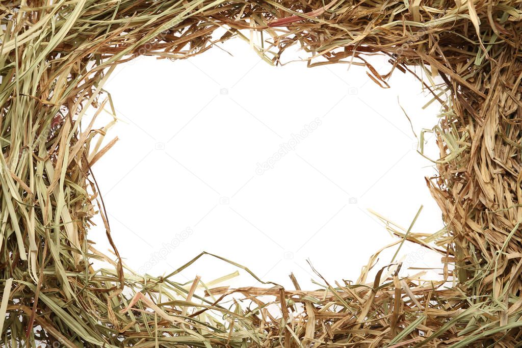 Frame made of dried hay on white background, top view. Space for text